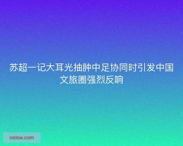 苏超一记大耳光抽肿中足协同时引发中国文旅圈强烈反响